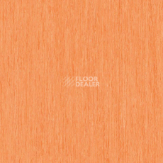 Линолеум Tarkett iq Optima Orange 0257 фото 1 | FLOORDEALER